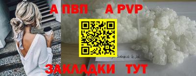 стаф Донской