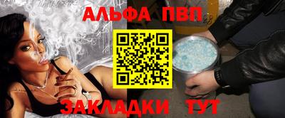стаф Донской