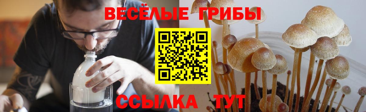 Псилоцибиновые грибы Magic Shrooms  Галлюциногенные грибы MAGIC MUSHROOMS  Клин  цены наркотик  Вход с VPN 